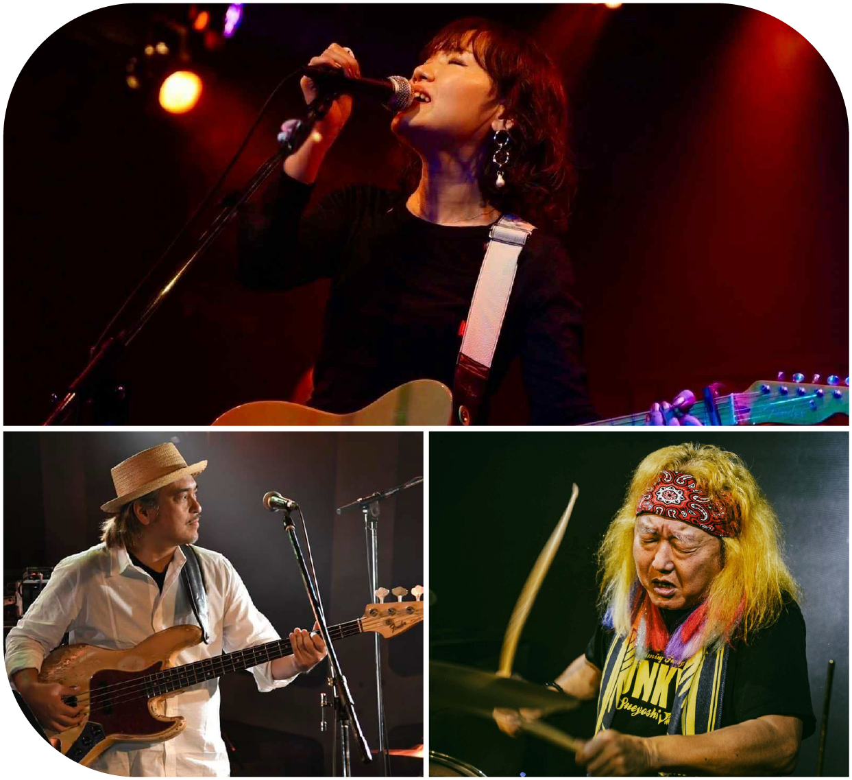 スペシャルライブイメージ